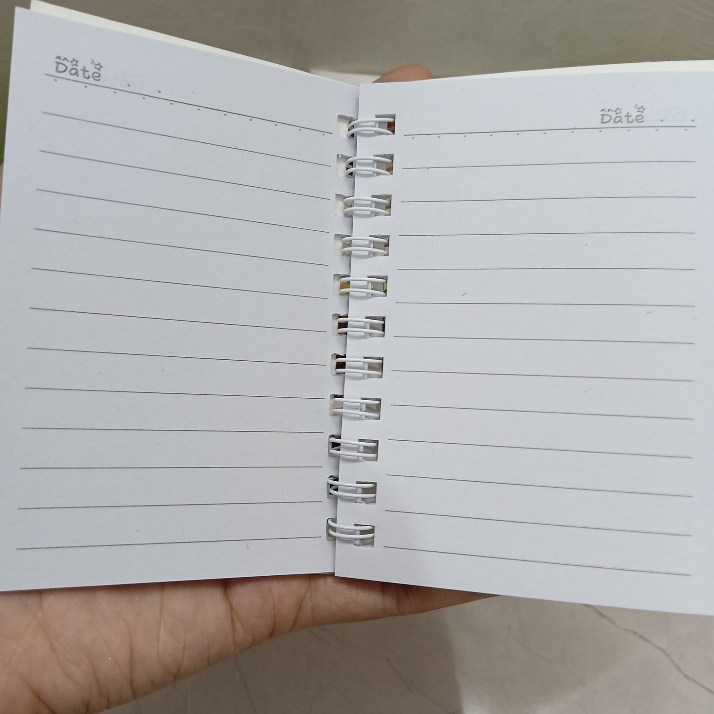Mini Diary- Assorted